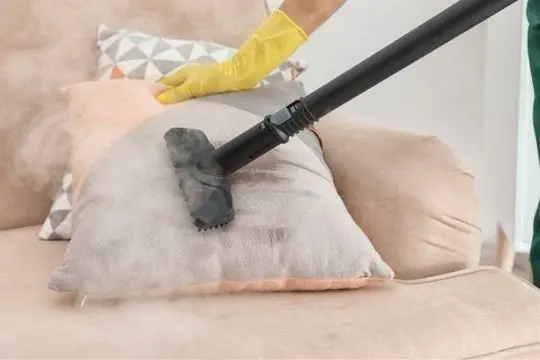 steam bed bug treatment port hope